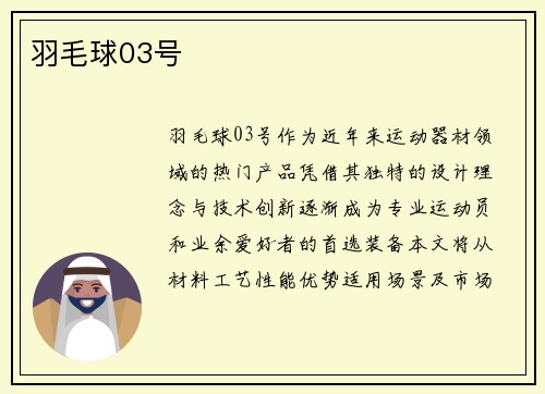 羽毛球03号